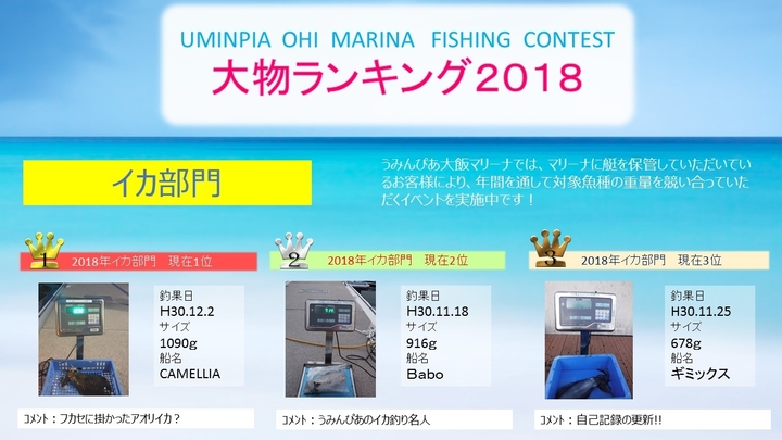 イカ部門.jpg