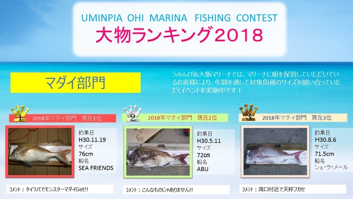 マダイ部門.jpg