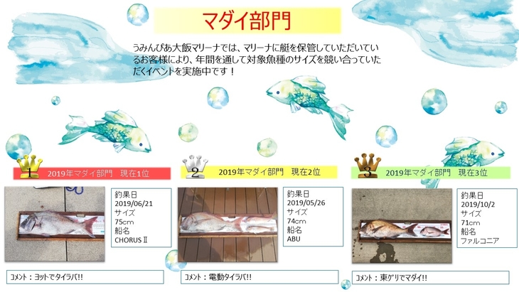 マダイ部門.jpg