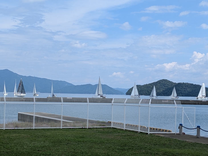 PXL_20250907_025942253.jpgのサムネイル画像